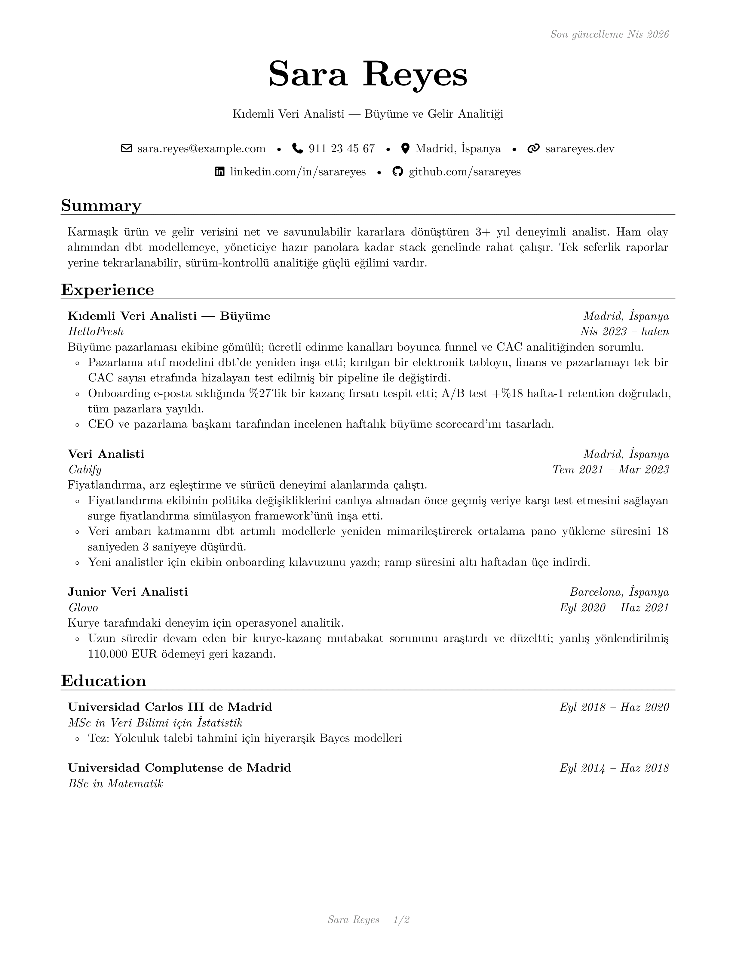 Veri Analisti sample CV — sb2nov theme
